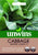 Unwins Cabbage Winter Jewel 40 Seeds