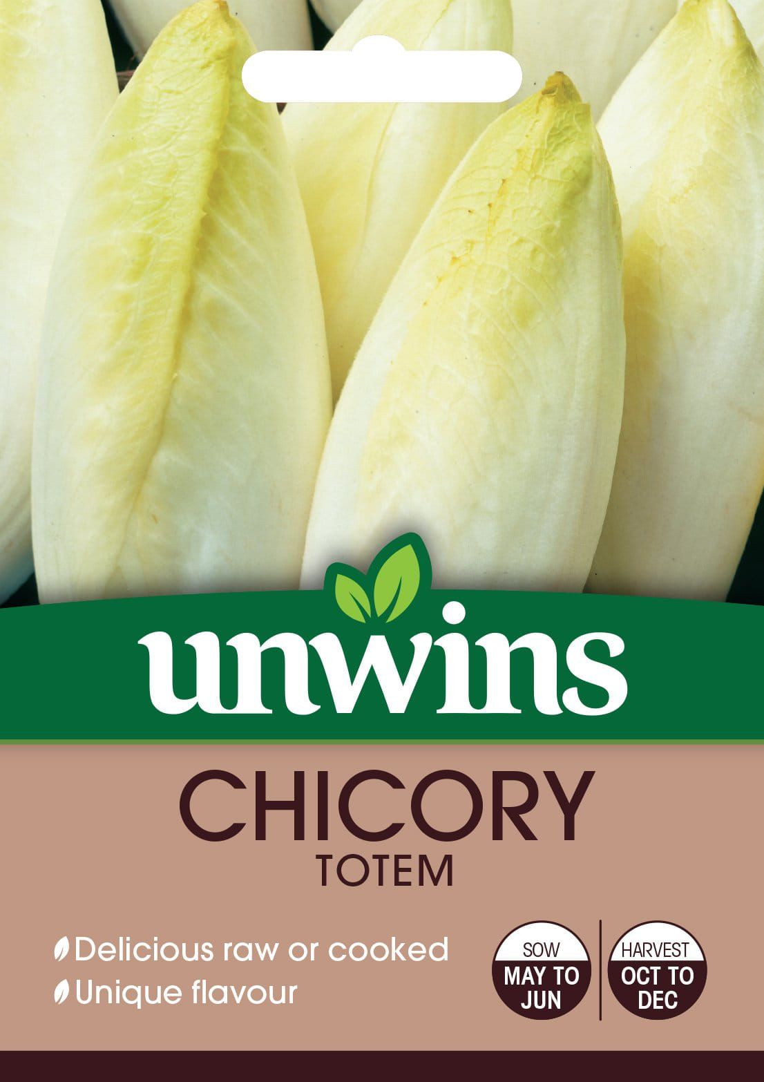 Unwins Chicory Totem 50 Seeds