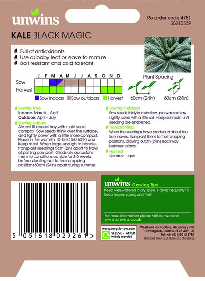 Unwins Kale Black Magic 50 Seeds