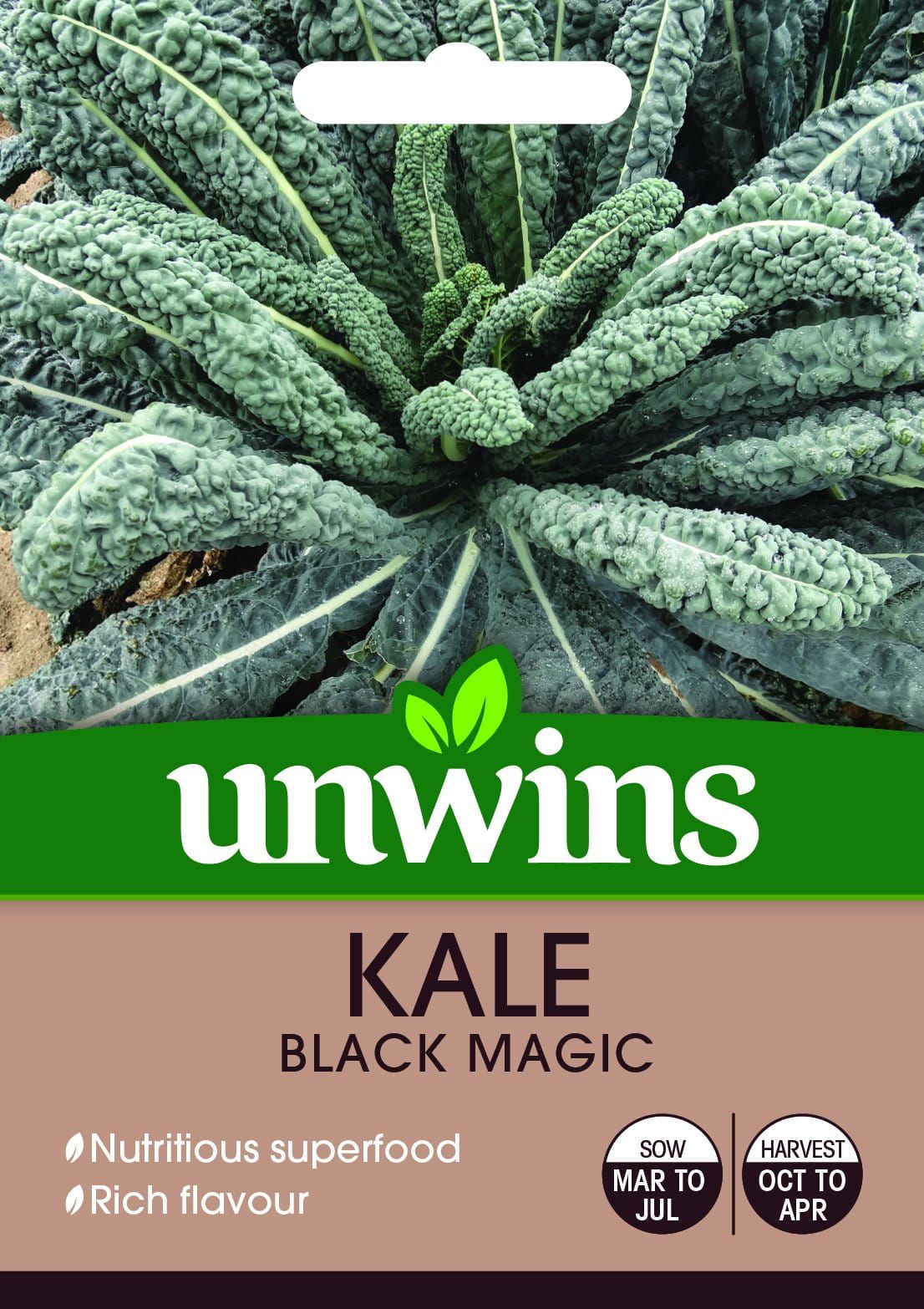 Unwins Kale Black Magic 50 Seeds