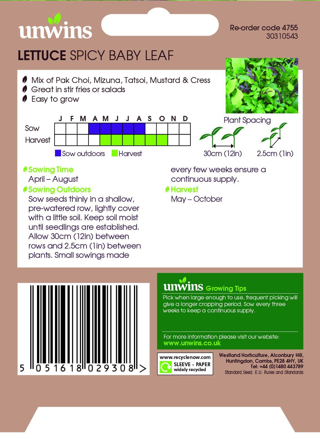 Unwins Lettuce Spicy Baby Leaf 500 Seeds