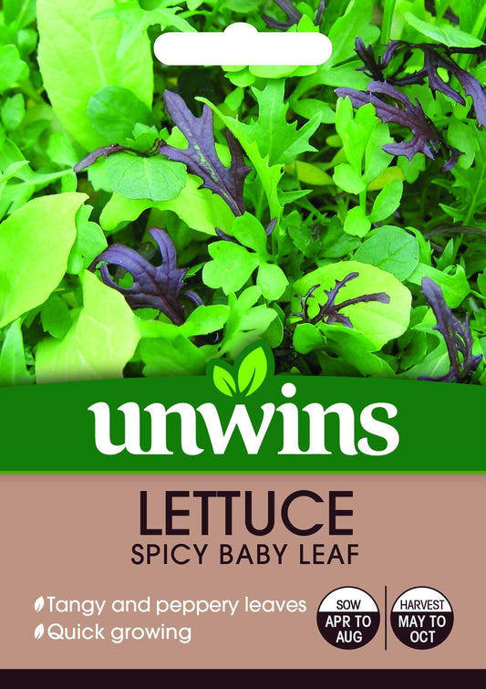 Unwins Lettuce Spicy Baby Leaf 500 Seeds