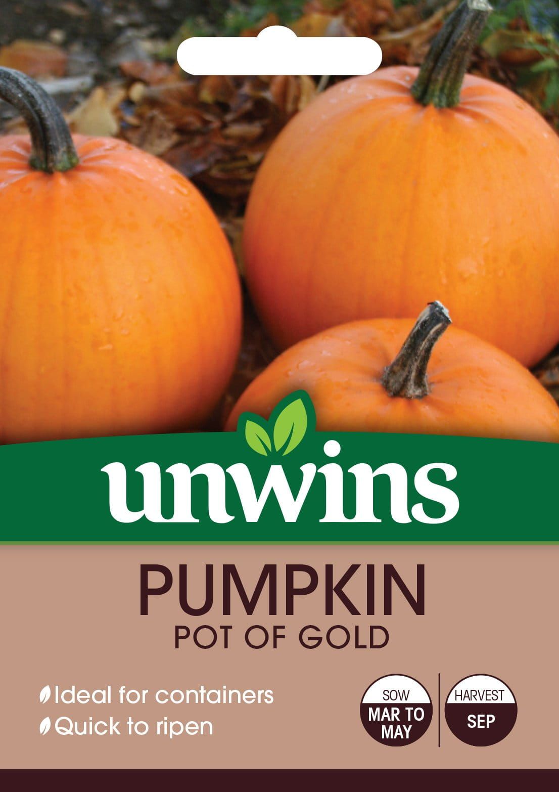 Unwins Pumpkin Pot of Gold 6 Seeds
