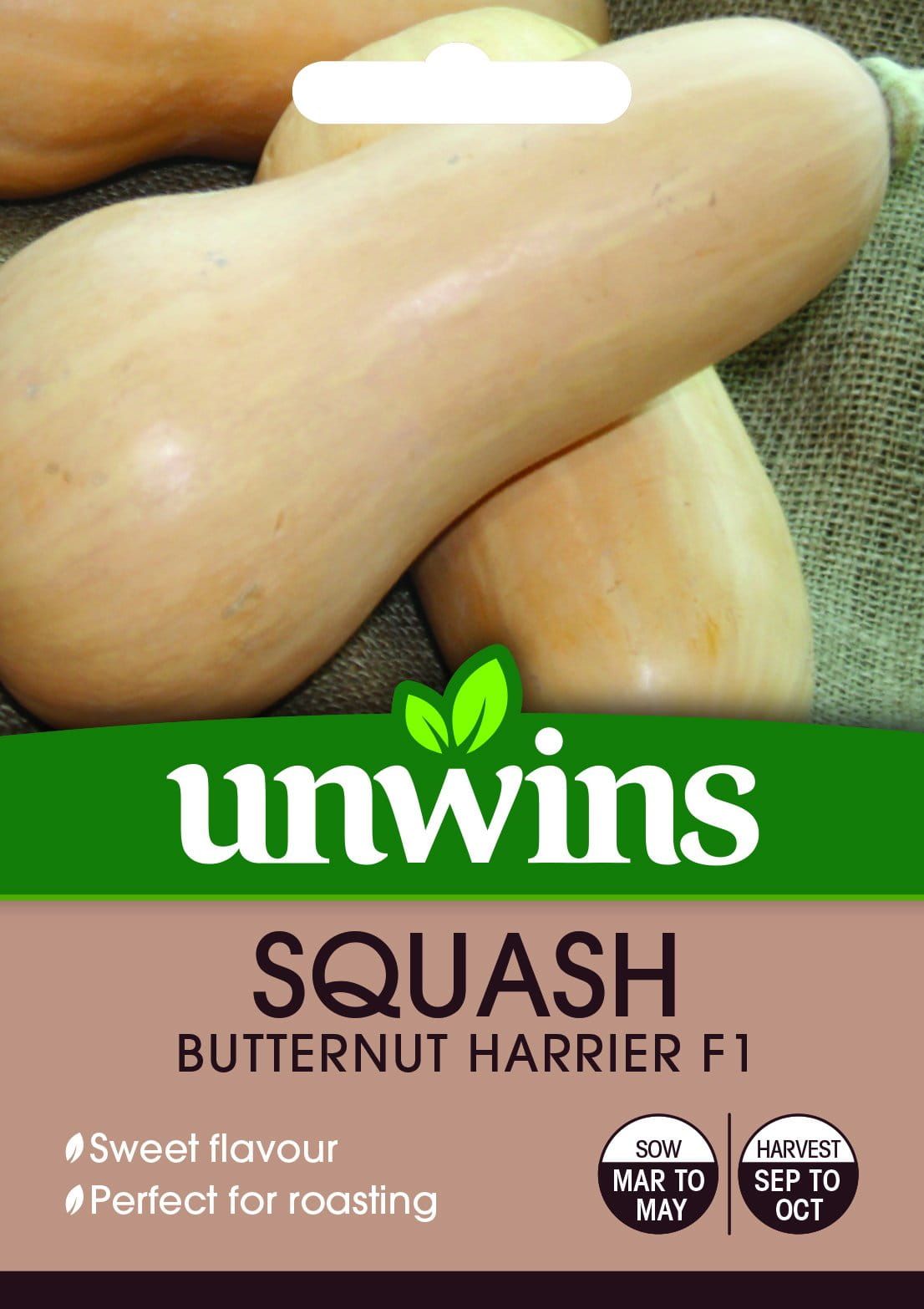 Unwins Squash Butternut Harrier F1 - 10 Seeds