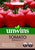 Unwins Tomato Orkado 8 Seeds