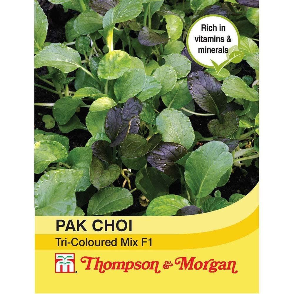 Thompson & Morgan Pak Choi (Chinese Cabbage) Tricoloured Mix F1 Hybrid 125 Seed