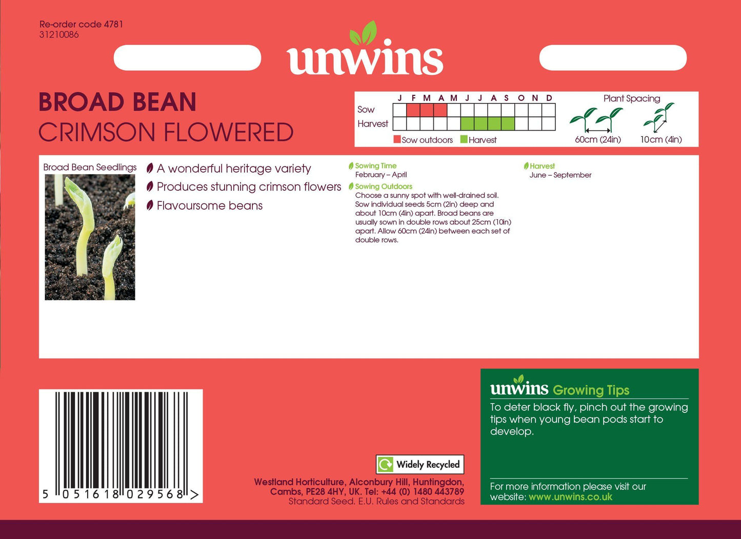 Unwins Broad Bean Crimson Flowered 40 Seeds