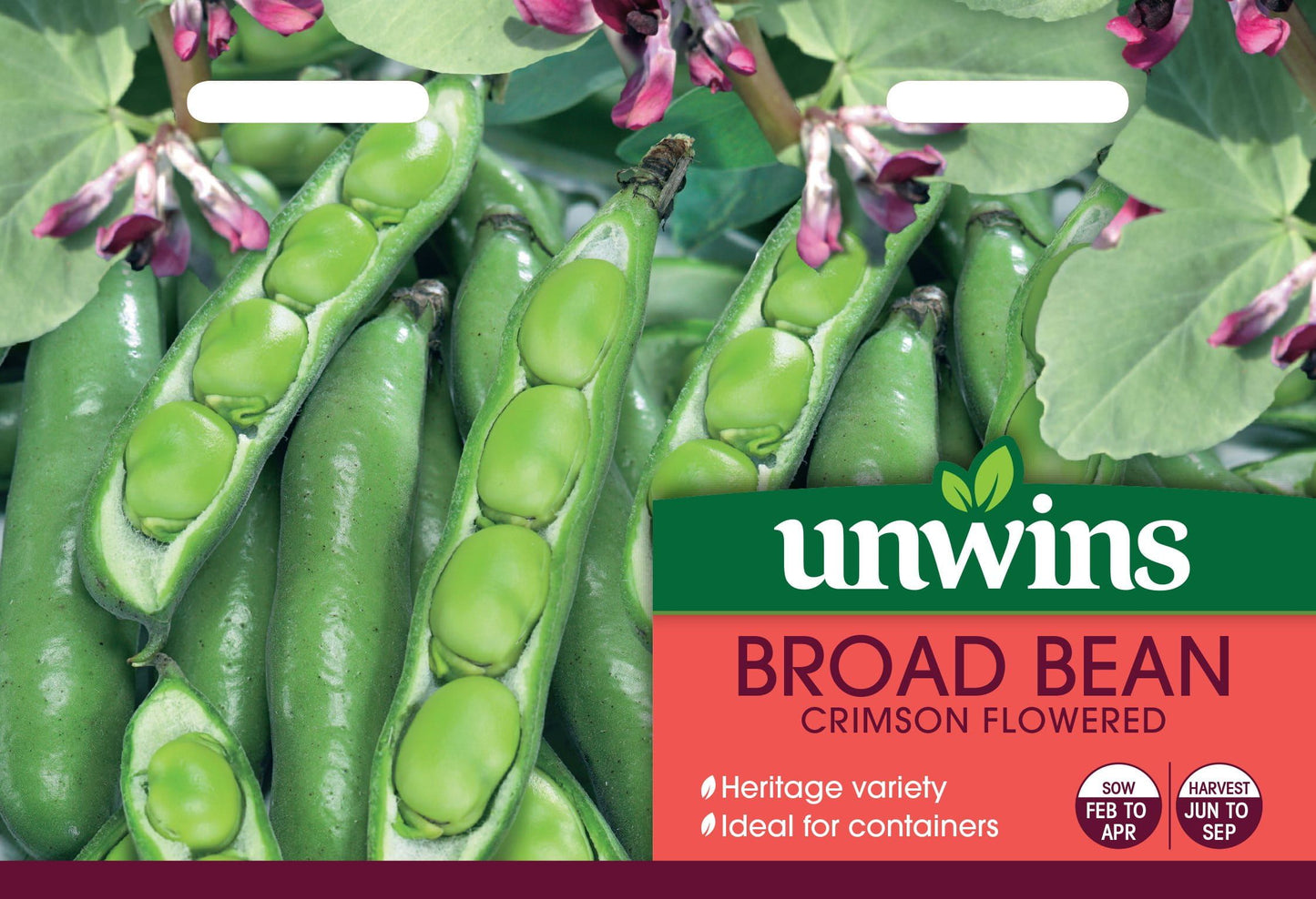 Unwins Broad Bean Crimson Flowered 40 Seeds