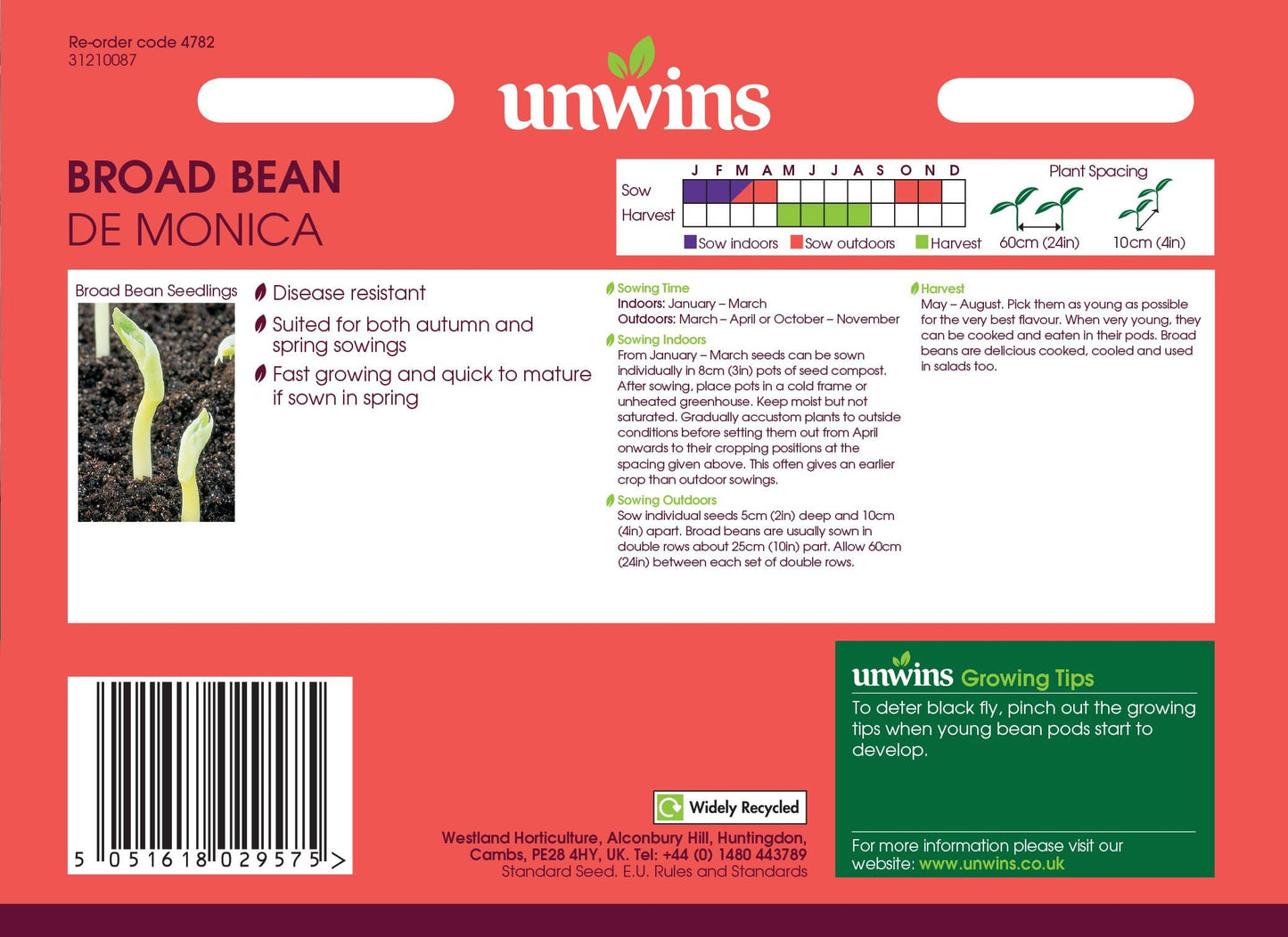 Unwins Broad Bean De Monica 50 Seeds