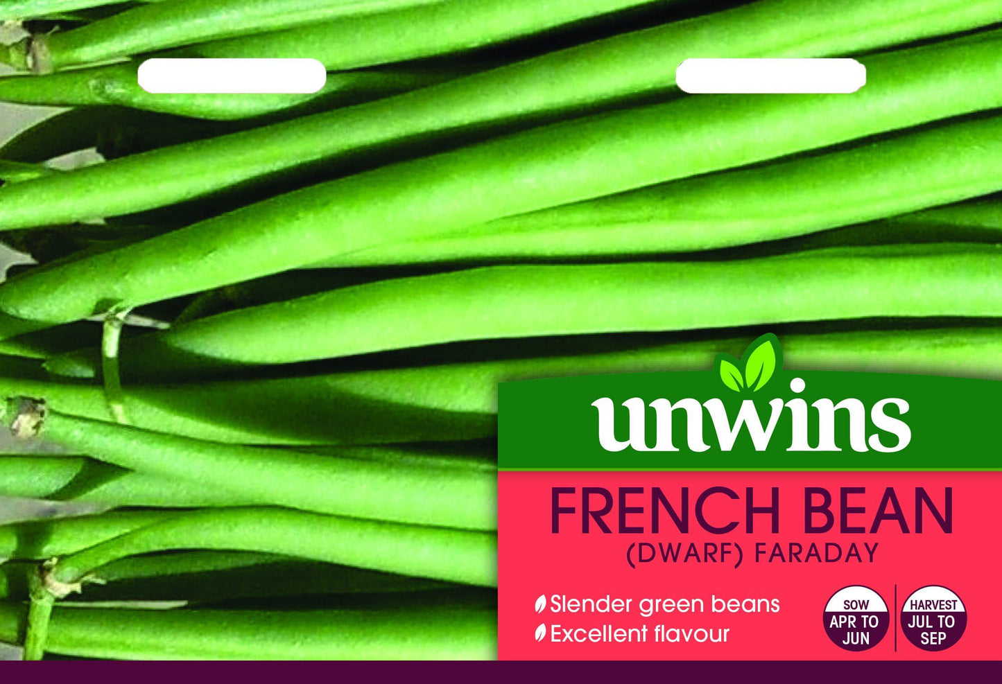 Unwins French Bean Dwarf Faraday 100 Seeds