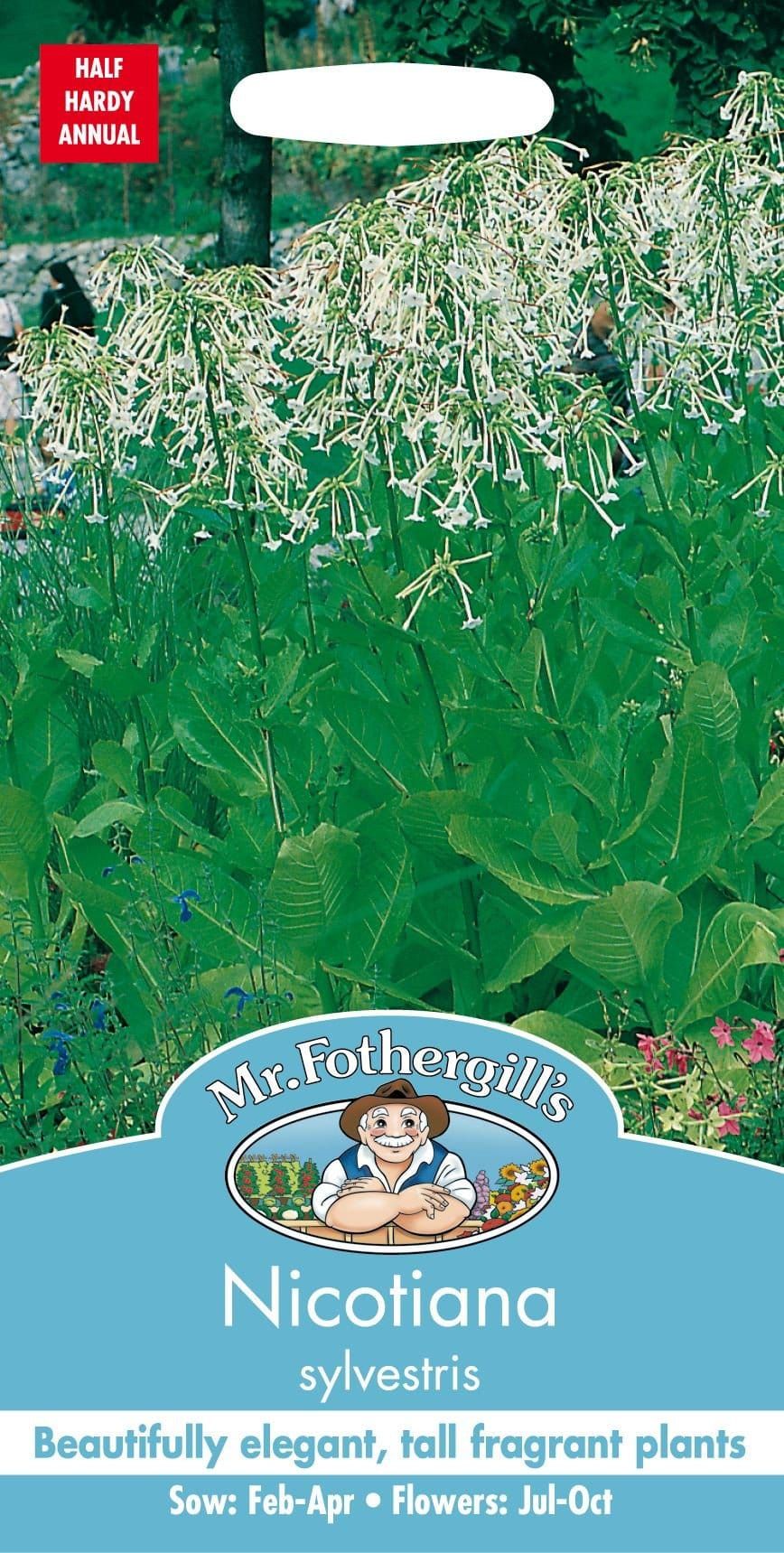 Mr Fothergills Nicotiana Sylvestris 2000 Seeds