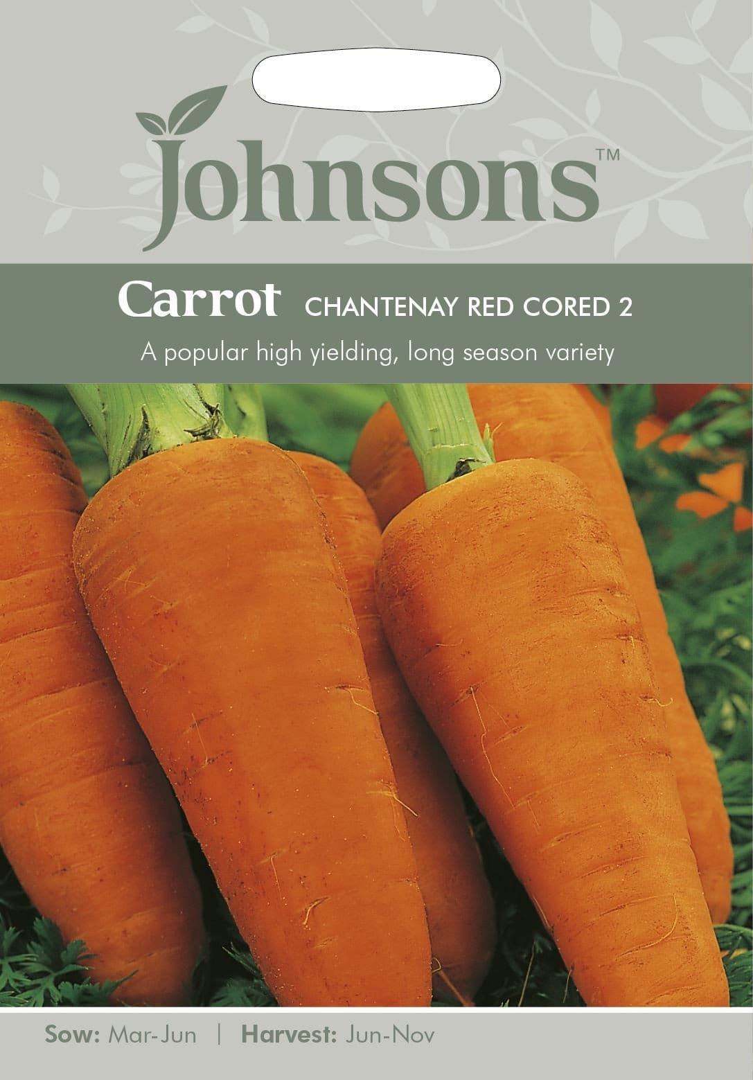 Johnsons Carrot Chantenay Red Cored 2 2000 Seeds