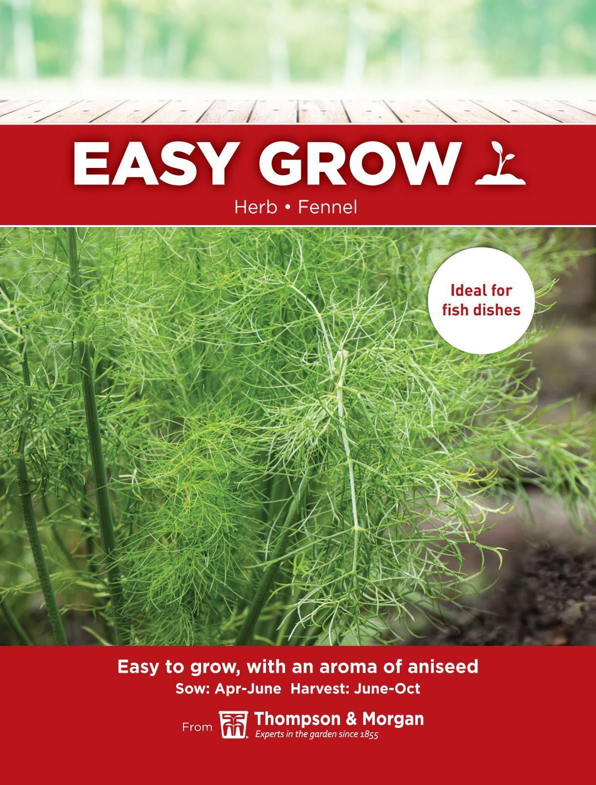 Thompson & Morgan - EasyGrow - Herb - Fennel - 200 Seeds