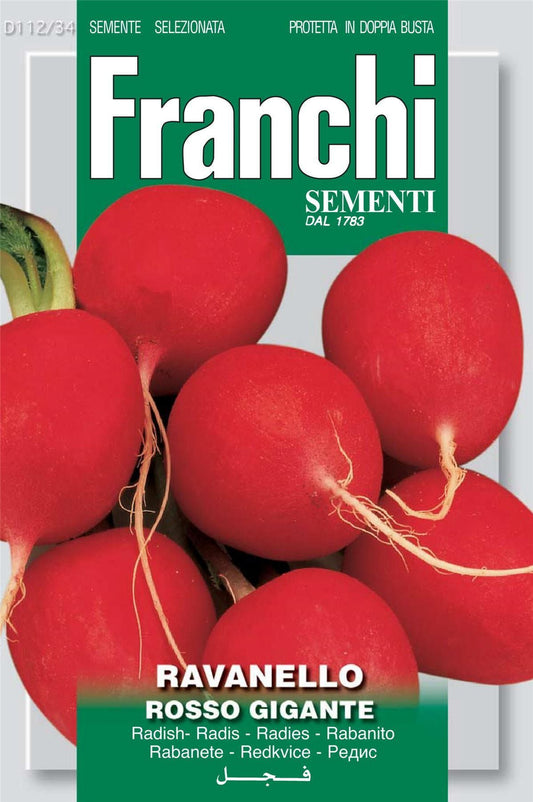 Franchi Seeds of Italy Radish Burro Gigante Seeds