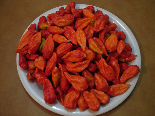 Pepper Bhut Jolokia Seeds