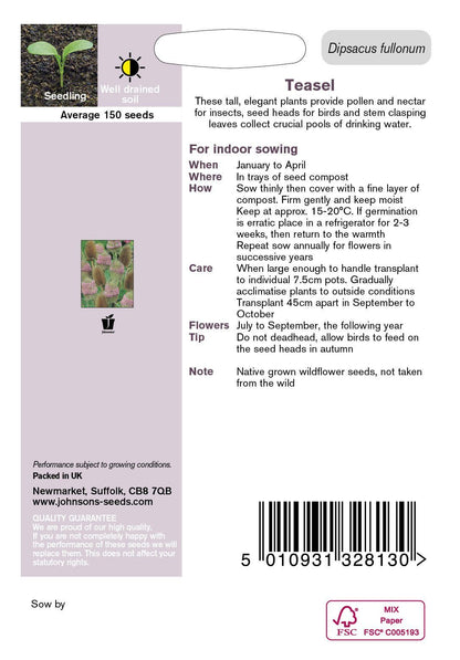 Johnson Seeds - Wild Flower - Teasel  - 150 Seeds