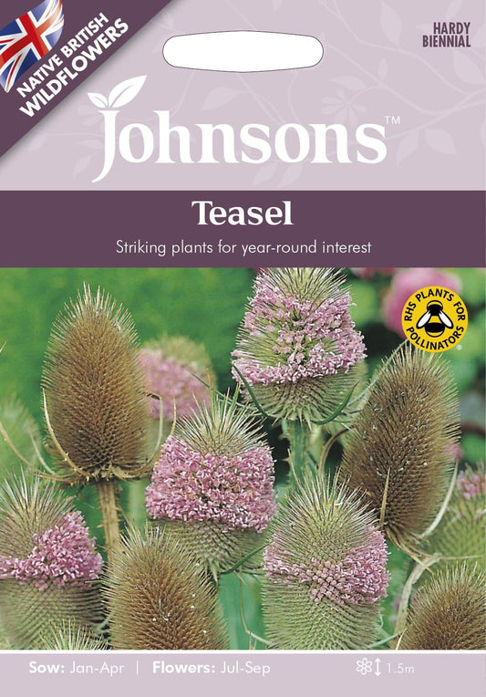 Johnson Seeds - Wild Flower - Teasel  - 150 Seeds