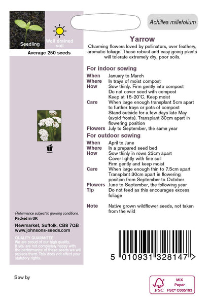 Johnson Seeds - Wild Flower - Yarrow  - 250 Seeds