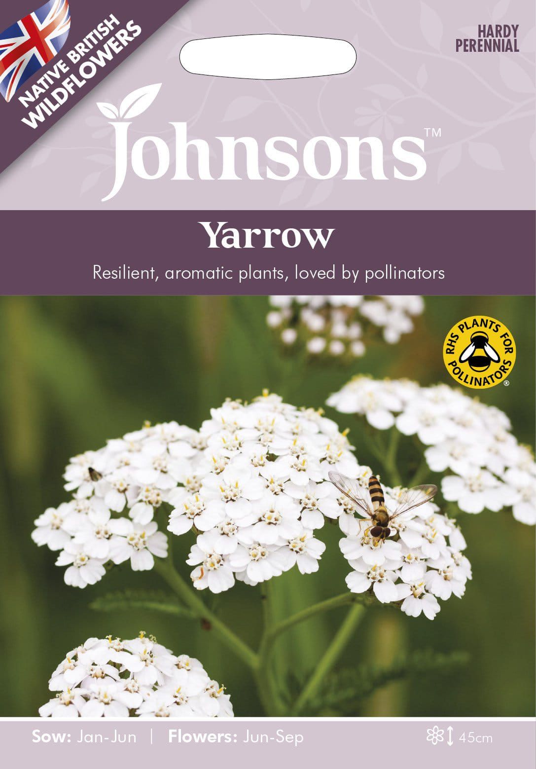 Johnson Seeds - Wild Flower - Yarrow  - 250 Seeds