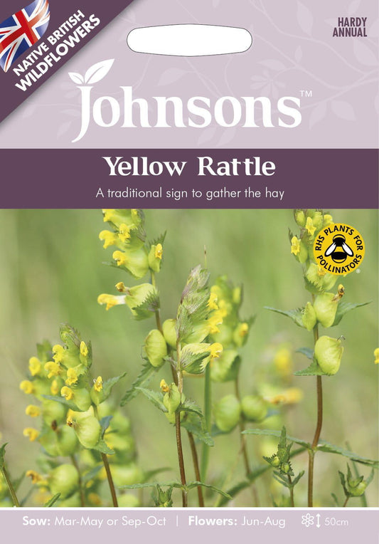 Johnson Seeds - Wild Flower - Yellow Rattle  - 150 Seeds