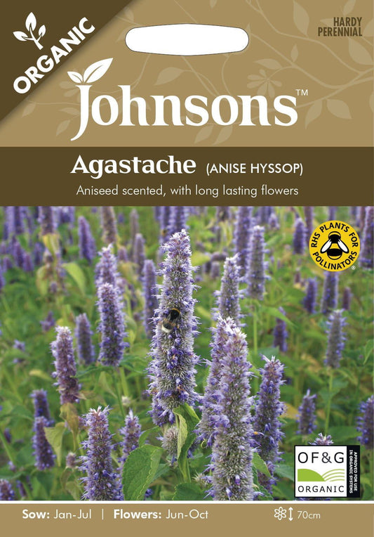 Johnson Seeds - Organic Flower - Agastache (Anise Hyssop) - 200 Seeds