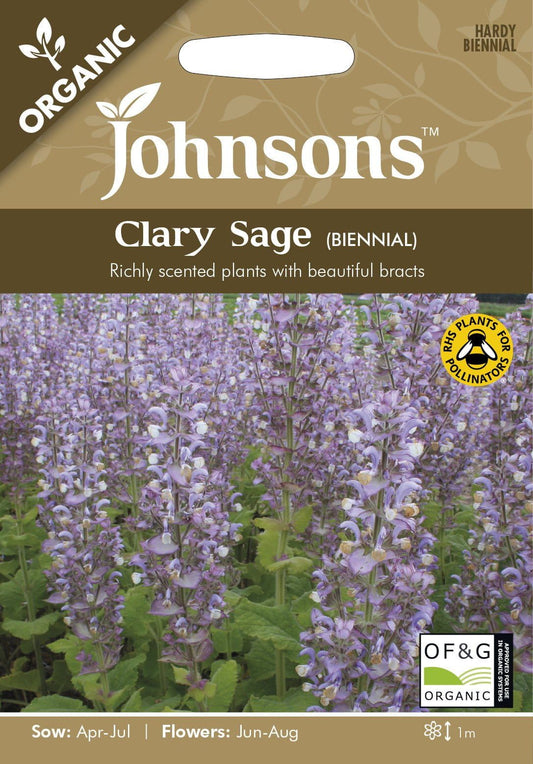 Johnson Seeds - Organic Flower - Clary Sage (Biennial) - 150 Seeds