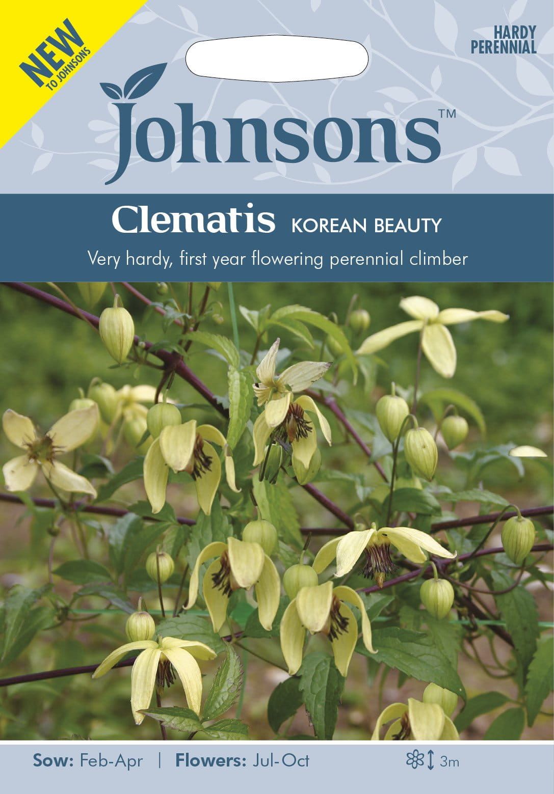 Johnson Seeds - Flower - Clematis Chiisanensis Korean Beauty - 35 Seeds