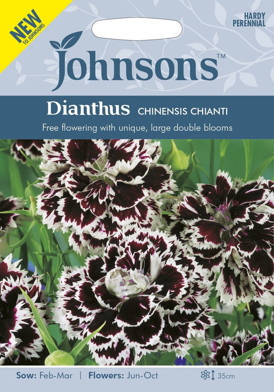 Johnson Seeds - Flower - Dianthus Chinensis Chianti - 200 Seeds