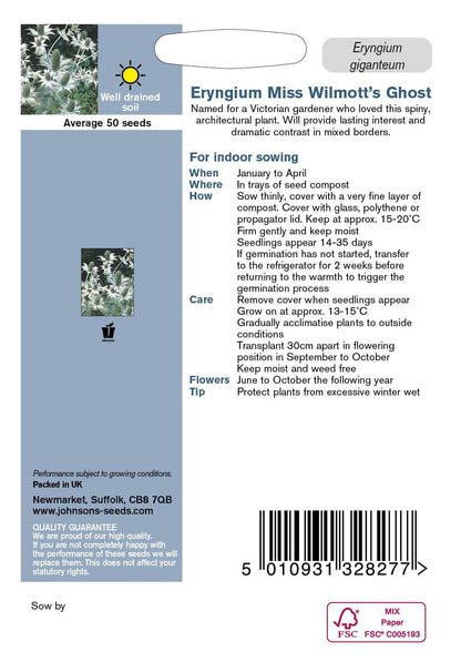 Johnson Seeds - Flower - Eryngium Miss Willmotts Ghost - 50 Seeds