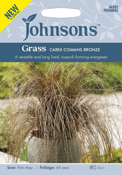 Johnson Seeds - Ornamental Grass - Carex Comans Bronze - 40 Seeds