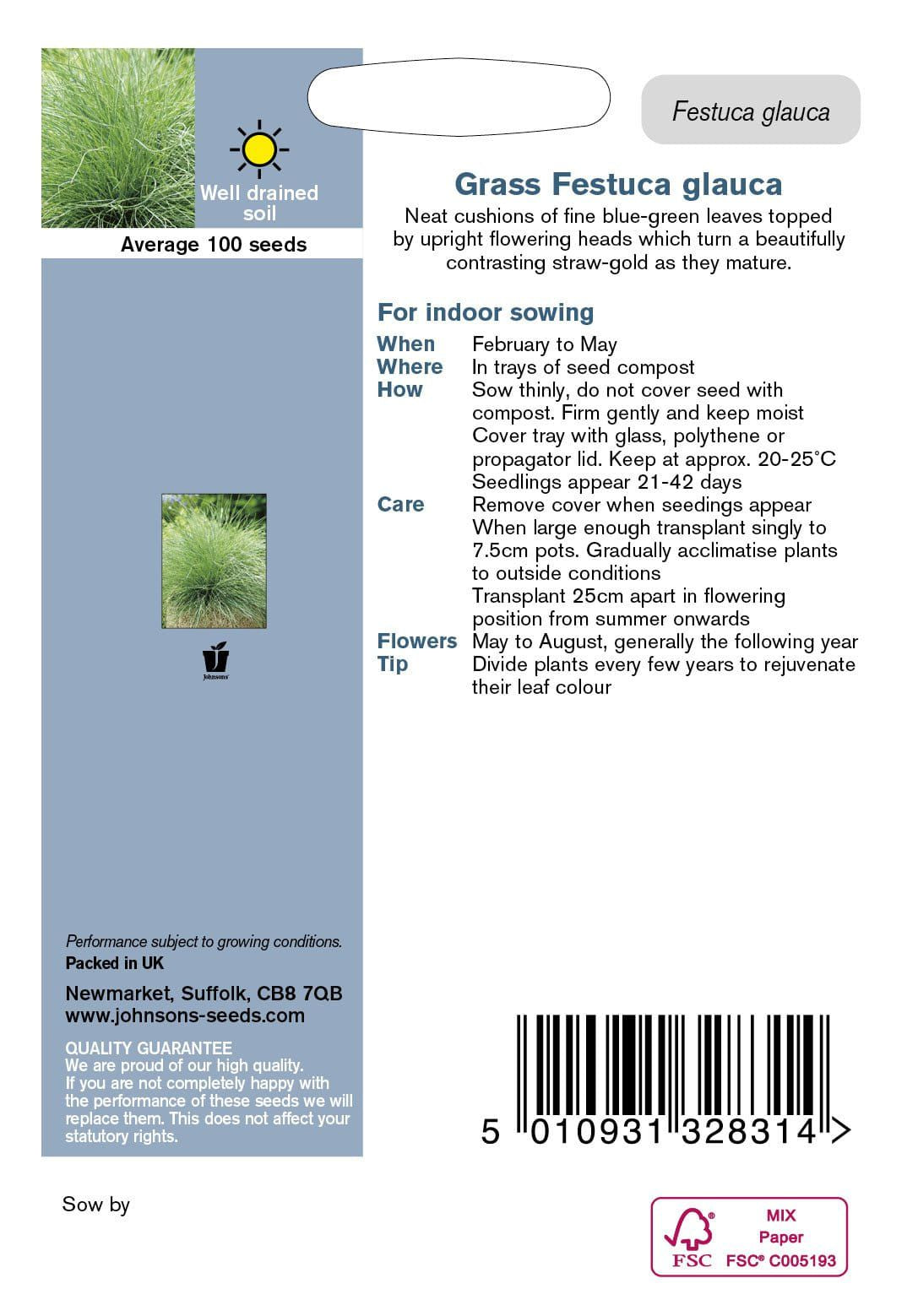 Johnson Seeds - Ornamental Grass - Festuca Glauca - 100 Seeds