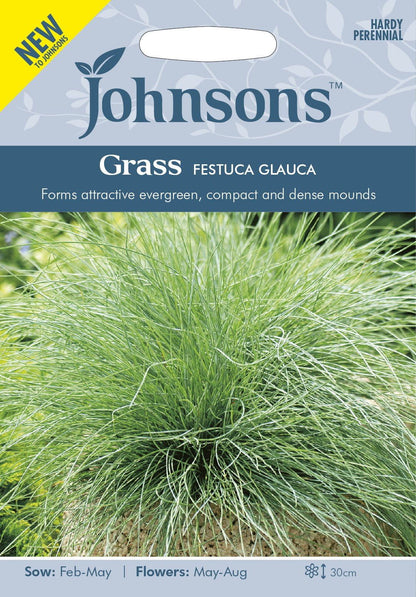 Johnson Seeds - Ornamental Grass - Festuca Glauca - 100 Seeds