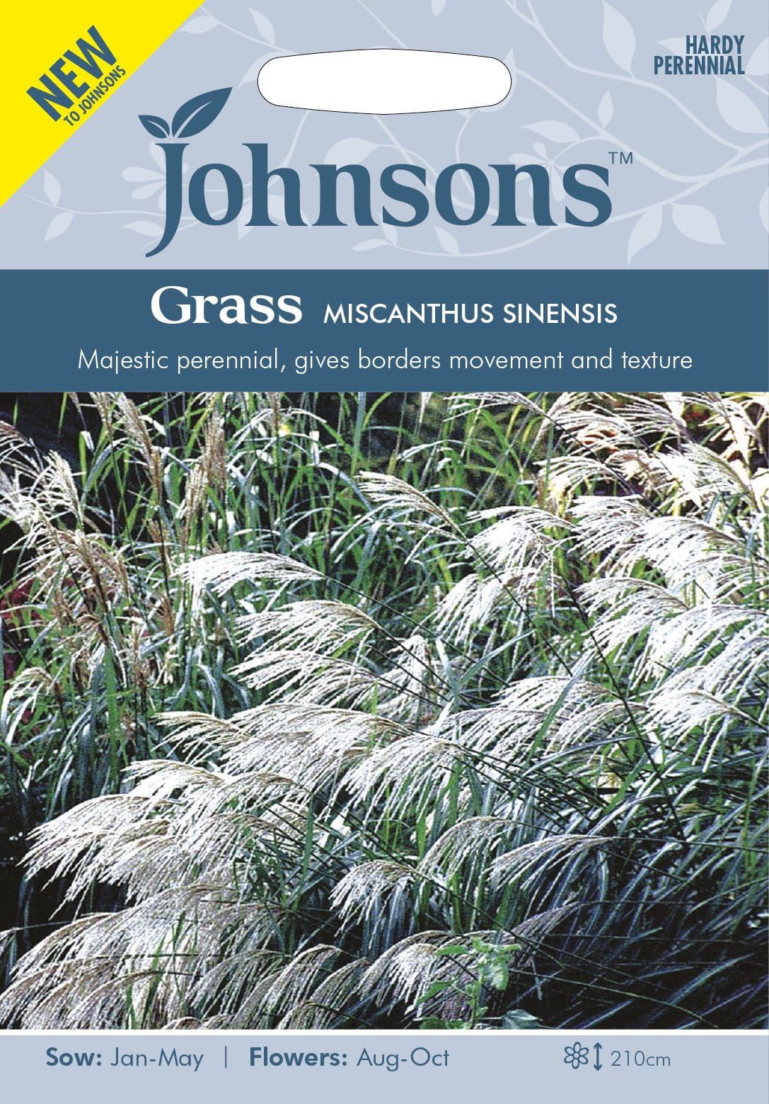 Johnson Seeds - Ornamental Grass - Miscanthus Sinensis - 50 Seeds