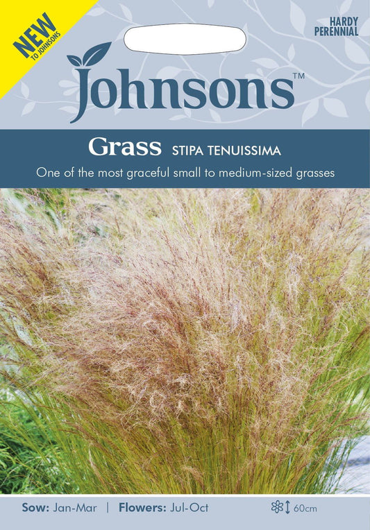 Johnson Seeds - Ornamental Grass - Stipa Tenuissima - 100 Seeds