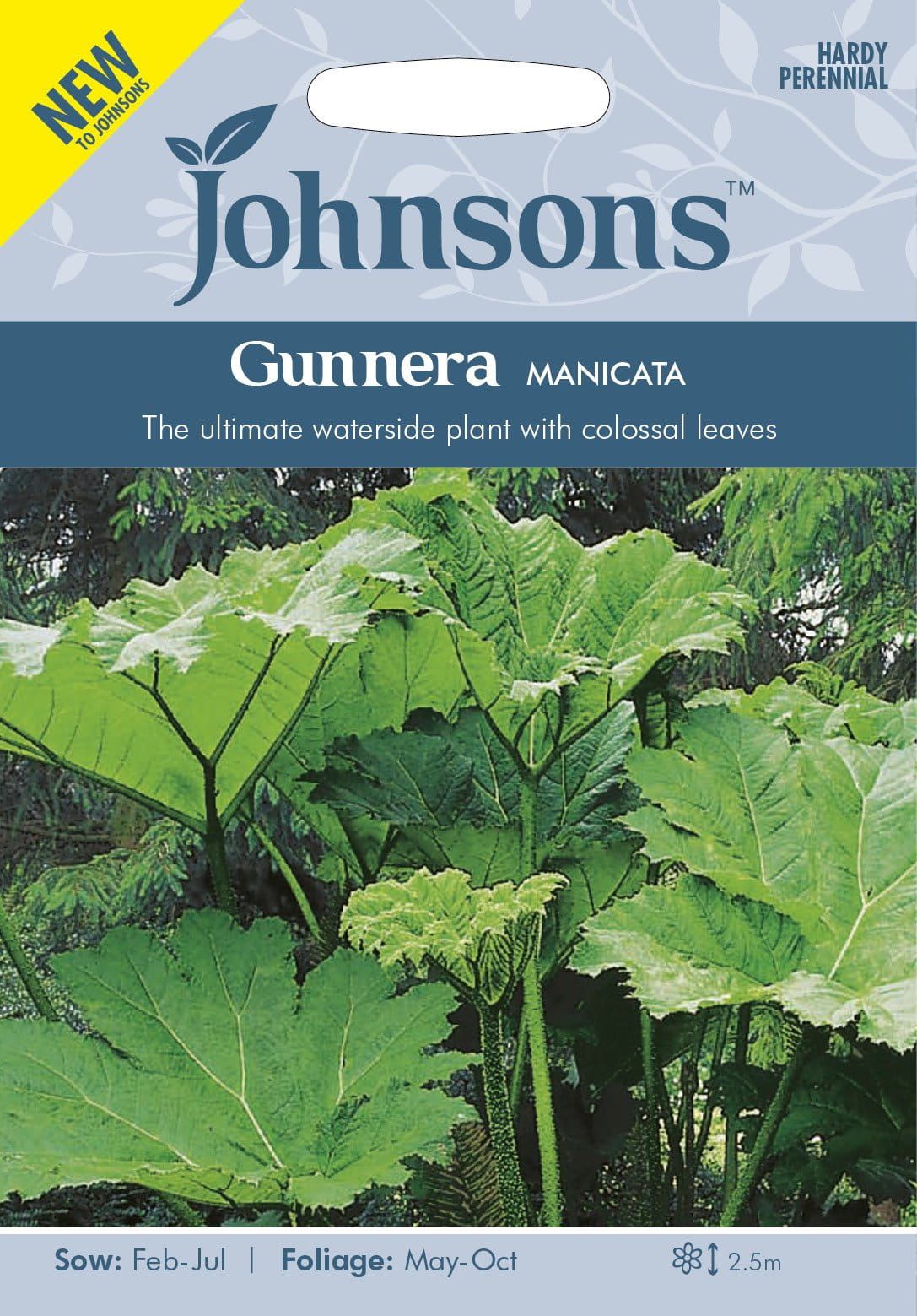 Johnson Seeds - Flower - Gunnera Manicata - 50 Seeds