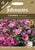 Johnson Seeds - Organic Flower - Organic Lavatera Pink Mallow - 75 Seeds
