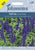 Johnson Seeds - Flower - Salvia Blue Victoria - 250 Seeds