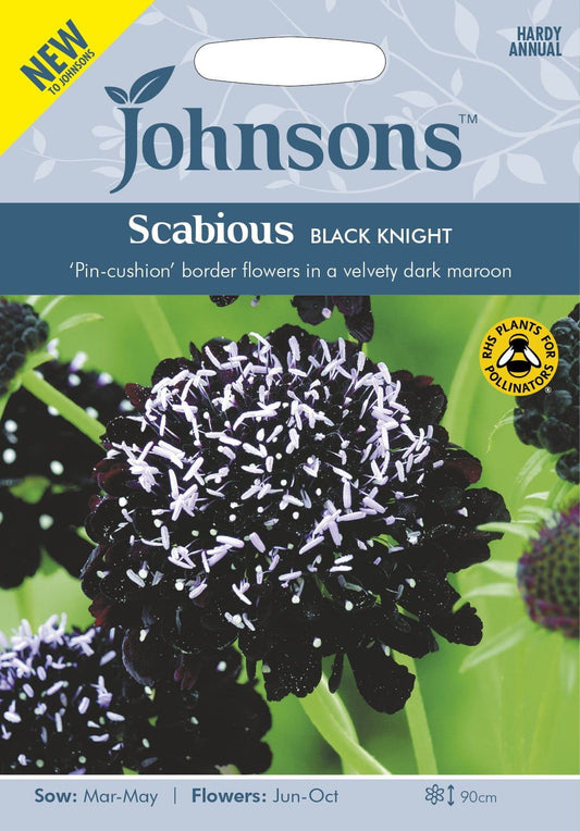 Johnson Seeds - Flower - Scabious Black Knight - 50 Seeds