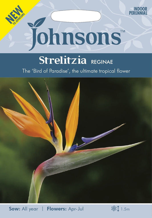 Johnson Seeds - Flower - Strelitzia Reginae - 10 Seeds