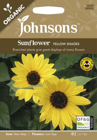 Johnson Seeds - Organic Flower - Organic Sunflower Yellow Shades - 60 Seeds