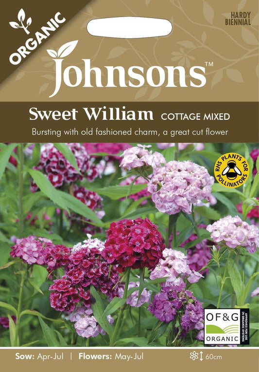 Johnson Seeds - Organic Flower - Organic Sweet William Cottage Mixed - 100 Seeds