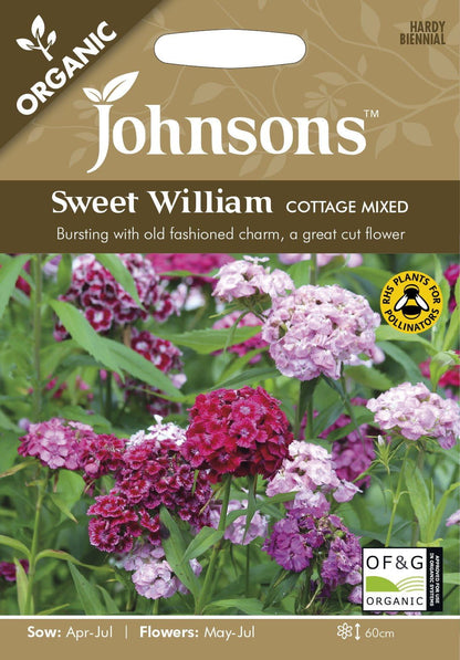 Johnson Seeds - Organic Flower - Organic Sweet William Cottage Mixed - 100 Seeds