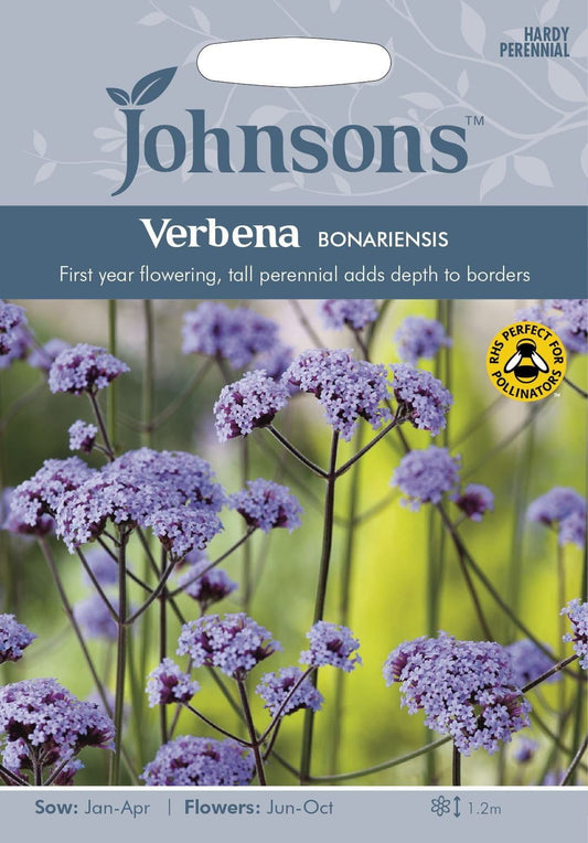 Johnsons Verbena Bonariensis 200 Seeds