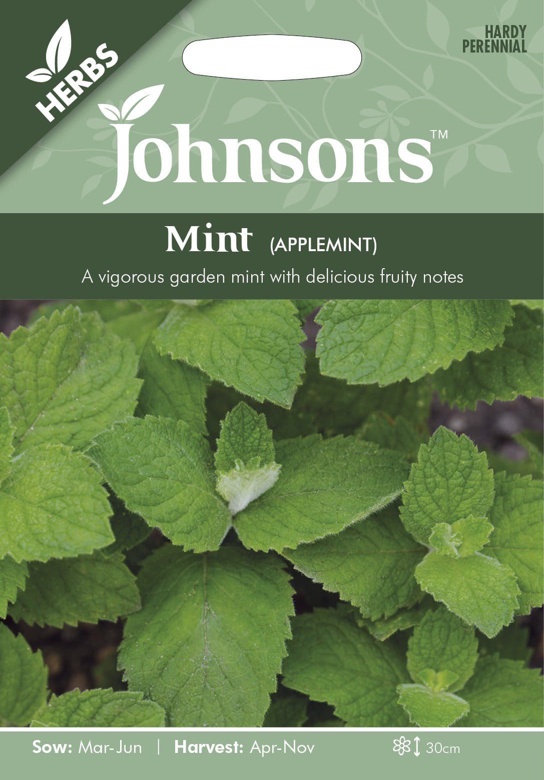 Johnson Seeds - Herb - Mint Applemint - 500 Seeds