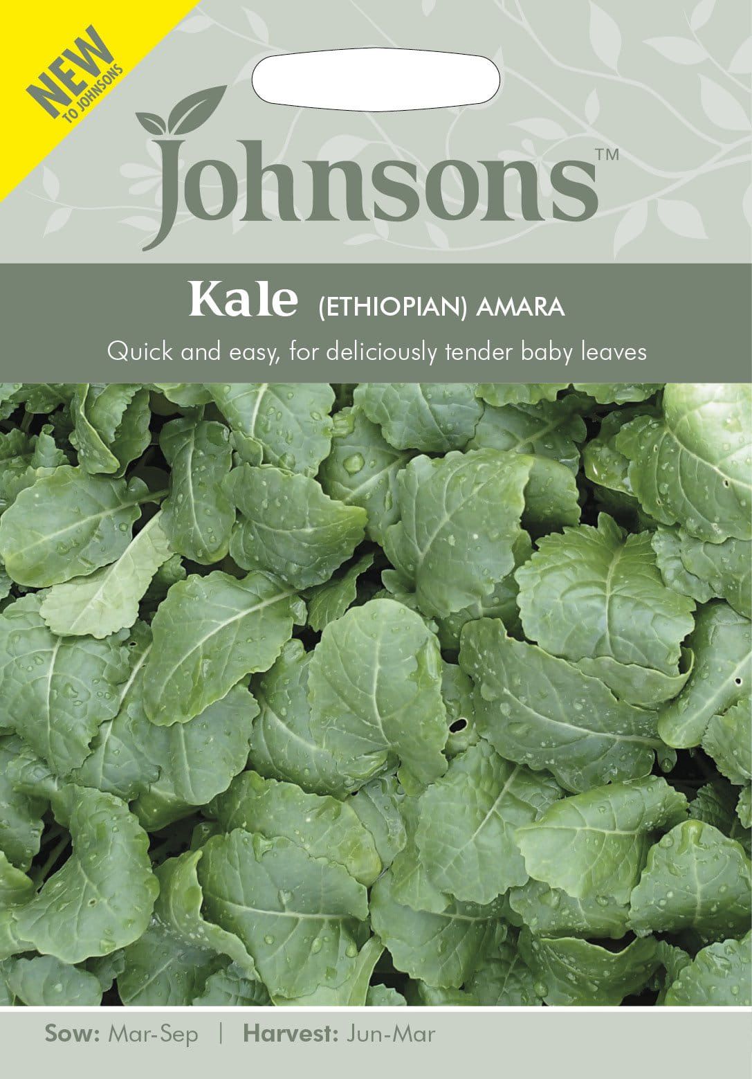 Johnson Seeds - Vegetable - Kale Ethiopian Amara - 500 Seeds