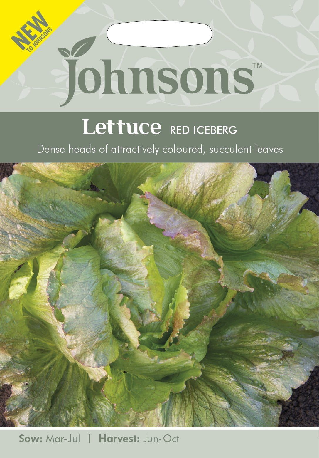 Johnson Seeds - Vegetable - Lettuce Red Iceberg  - 750 Seeds