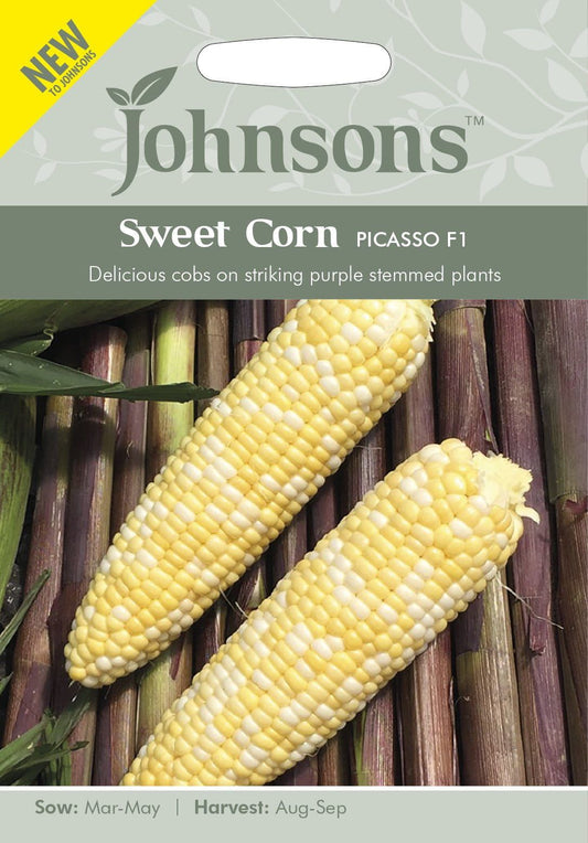Johnson Seeds - Vegetable - Sweet Corn Picasso F1 - 35 Seeds