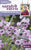 Johnson Seeds - Sarah Raven Flower - Cynoglossum Mystery Rose  -