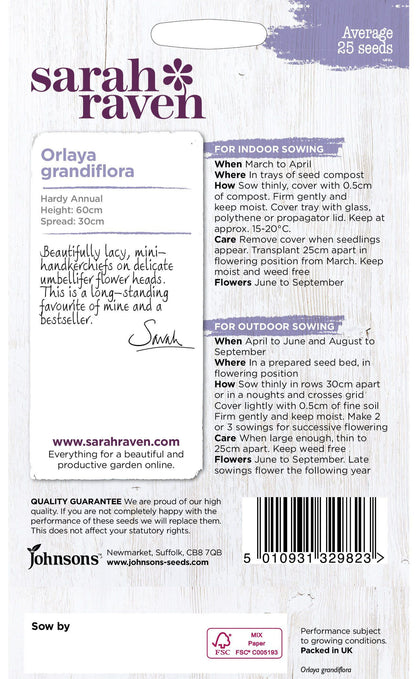 Johnson Seeds - Sarah Raven Flower - Orlaya Grandiflora - 25 Seeds
