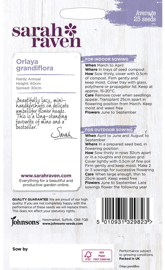 Johnson Seeds - Sarah Raven Flower - Orlaya Grandiflora - 25 Seeds